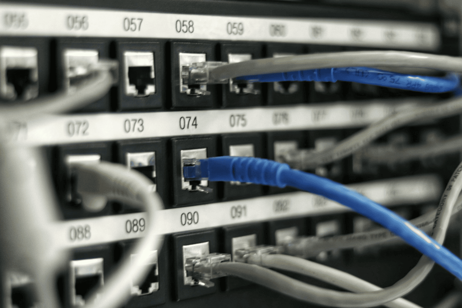 Empowering Your Business Network
